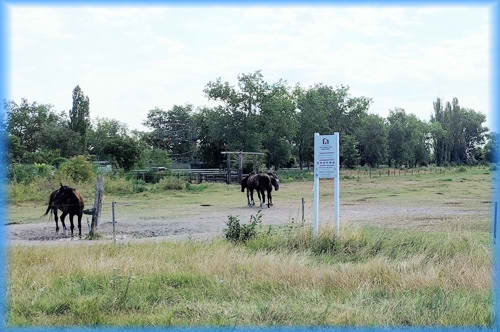 Süd-Steiermark und Burgenland 2023