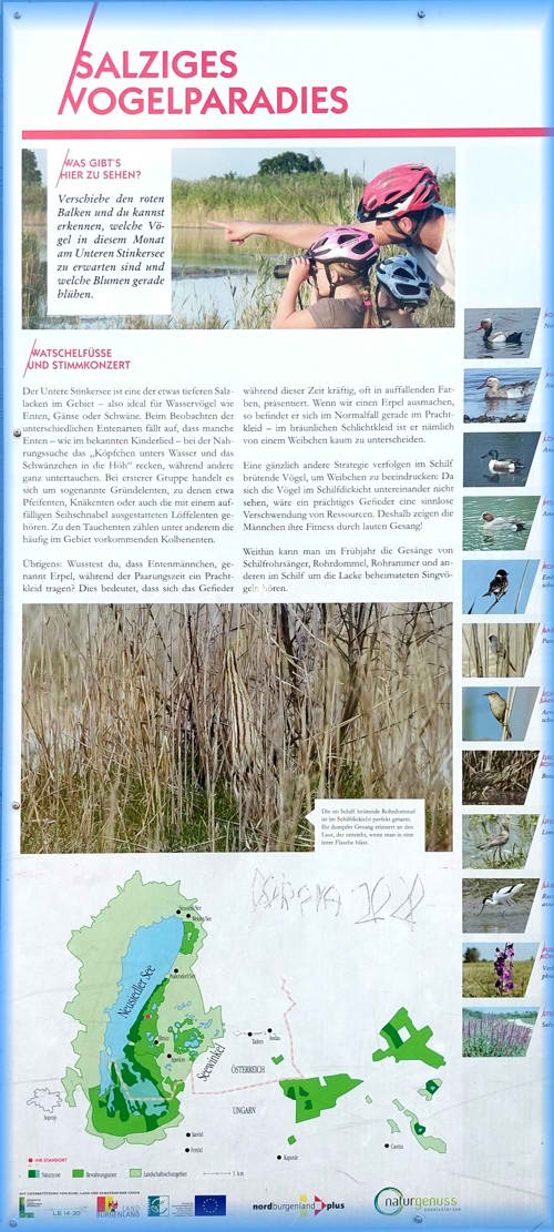 Süd-Steiermark und Burgenland 2023