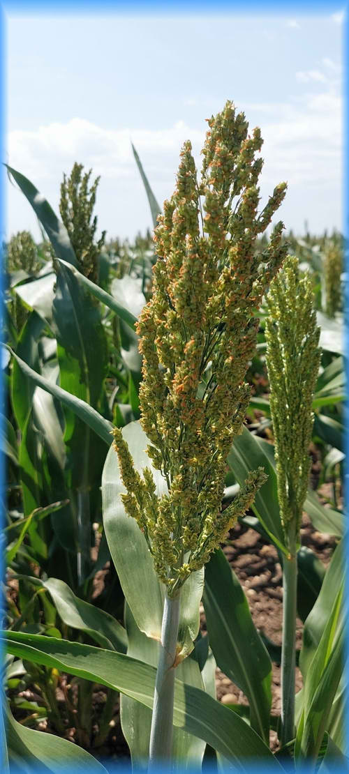 Süd-Steiermark und Burgenland 2023