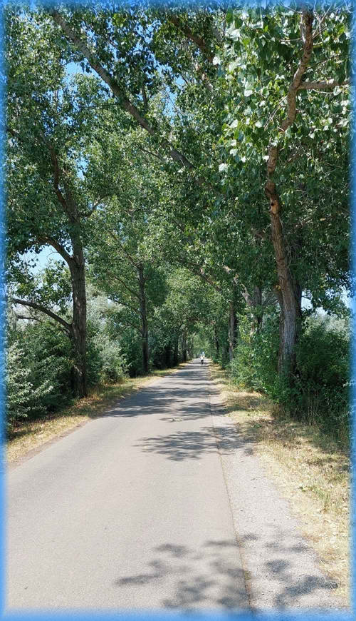 Süd-Steiermark und Burgenland 2023