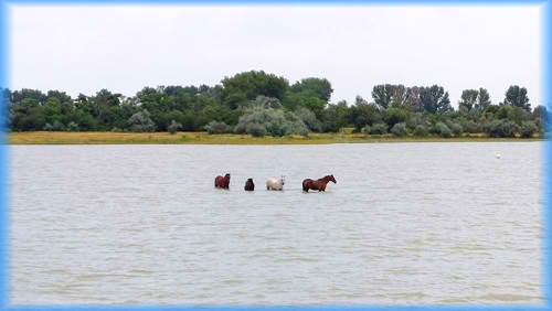 Süd-Steiermark und Burgenland 2023