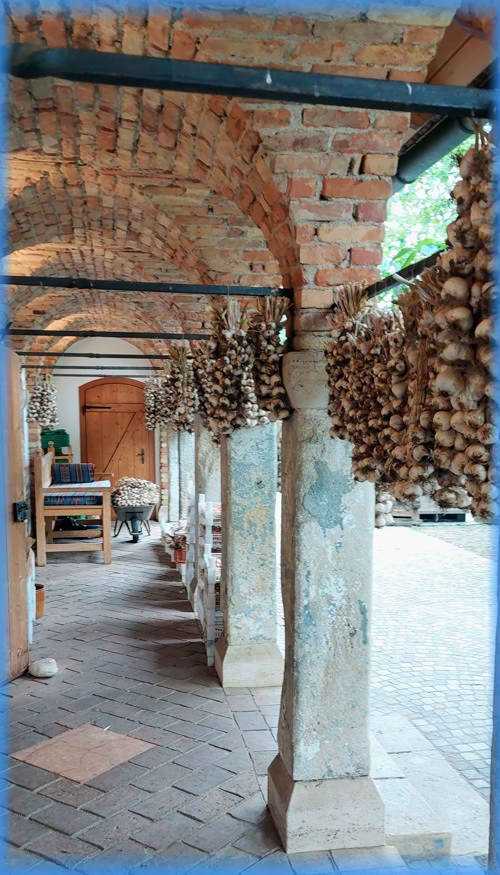 Süd-Steiermark und Burgenland 2023